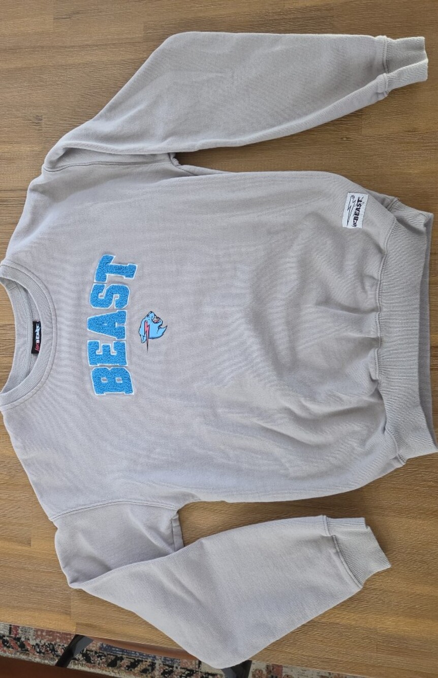 Mr Beast Kids Logo Sweatshirt Youth Size 16